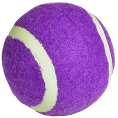 Теннисный мяч - Enero, фиолетовый 1 штука цена и информация | Товары для большого тенниса | pigu.lt