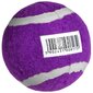Teniso kamuoliukas Enero, violetinis kaina ir informacija | Lauko teniso prekės | pigu.lt