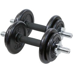 Гири с футляром - Eb Fit, 19 кг, 2x9,5 кг цена и информация | Гантели, гири, штанги | pigu.lt