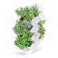 Prosperplast gėlių lysvės vertikalus sodas, 47.5 cm kaina ir informacija | Vazonai | pigu.lt
