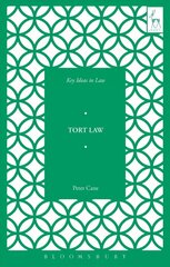 Key Ideas in Tort Law kaina ir informacija | Ekonomikos knygos | pigu.lt