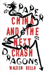 Paper Dragons: China and the Next Crash kaina ir informacija | Ekonomikos knygos | pigu.lt