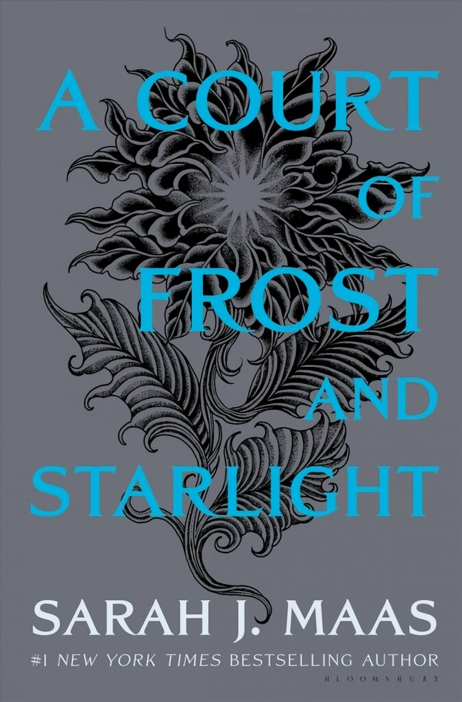 Court of Frost and Starlight: US Hardcover Edition kaina ir informacija | Fantastinės, mistinės knygos | pigu.lt