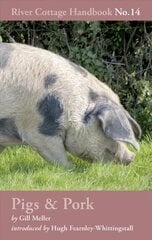 Pigs & Pork: River Cottage Handbook No.14 kaina ir informacija | Receptų knygos | pigu.lt