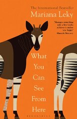 What You Can See From Here: 'A clear-eyed tonic in troubled times' (Guardian) kaina ir informacija | Fantastinės, mistinės knygos | pigu.lt