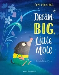 Dream Big, Little Mole цена и информация | Книги для малышей | pigu.lt