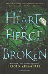 Heart So Fierce and Broken цена и информация | Книги для подростков  | pigu.lt