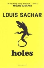 Holes цена и информация | Книги для подростков  | pigu.lt