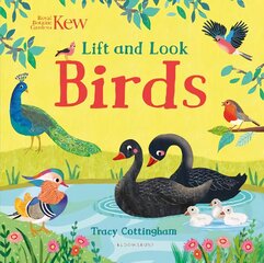Kew: Lift and Look Birds цена и информация | Книги для самых маленьких | pigu.lt