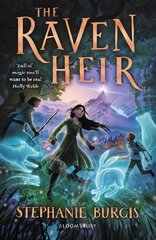 Raven Heir цена и информация | Книги для подростков и молодежи | pigu.lt
