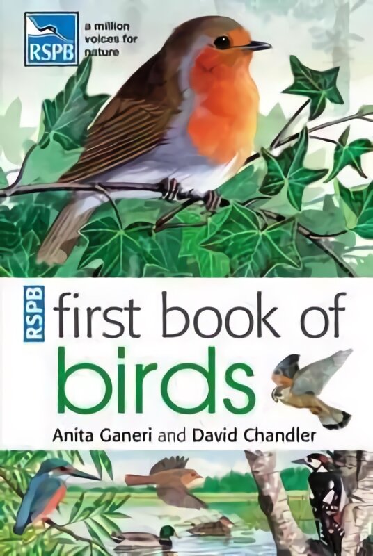 RSPB First Book Of Birds цена и информация | Knygos paaugliams ir jaunimui | pigu.lt