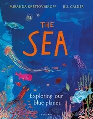 Sea: Exploring our blue planet Illustrated edition kaina ir informacija | Knygos paaugliams ir jaunimui | pigu.lt