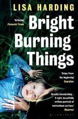 Bright Burning Things цена и информация | Fantastinės, mistinės knygos | pigu.lt