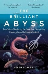 The Brilliant Abyss: True Tales of Exploring the Deep Sea, Discovering Hidden Life and Selling the Seabed kaina ir informacija | Lavinamosios knygos | pigu.lt