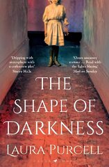 Shape of Darkness: 'A future gothic classic' Martyn Waites kaina ir informacija | Fantastinės, mistinės knygos | pigu.lt