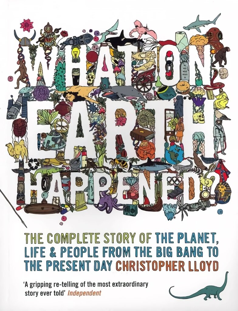 What on Earth Happened?: The Complete Story of the Planet, Life and People from the Big Bang to the Present Day цена и информация | Istorinės knygos | pigu.lt