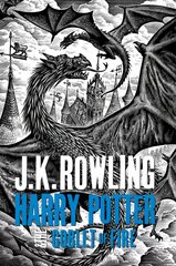 Harry Potter and the Goblet of Fire: The Illustrated Edition (Harry Potter, Book 4): Volume 4 цена и информация | Книги для подростков  | pigu.lt