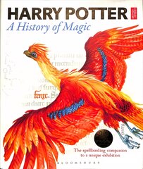 Harry Potter - A History of Magic: The Book of the Exhibition цена и информация | Книги для подростков и молодежи | pigu.lt