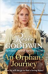 An Orphan's Journey: The new heartwarming saga from the Sunday Times bestselling author цена и информация | Романы | pigu.lt