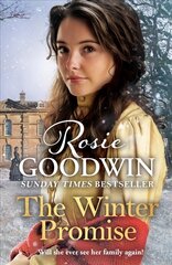 Winter Promise: A perfect cosy Victorian saga from the Sunday Times bestselling author kaina ir informacija | Fantastinės, mistinės knygos | pigu.lt
