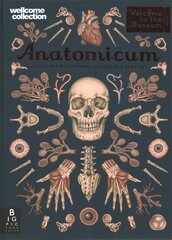 Anatomicum цена и информация | Книги для подростков  | pigu.lt