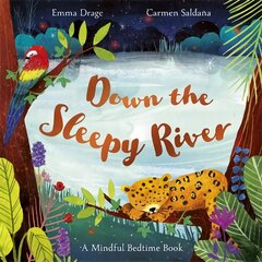 Down the Sleepy River: A Mindful Bedtime Book kaina ir informacija | Knygos mažiesiems | pigu.lt