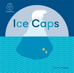 Eco Baby: Ice Caps цена и информация | Книги для малышей | pigu.lt