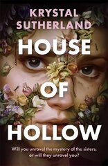 House of Hollow цена и информация | Книги для подростков и молодежи | pigu.lt