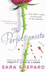 Perfectionists цена и информация | Книги для подростков  | pigu.lt