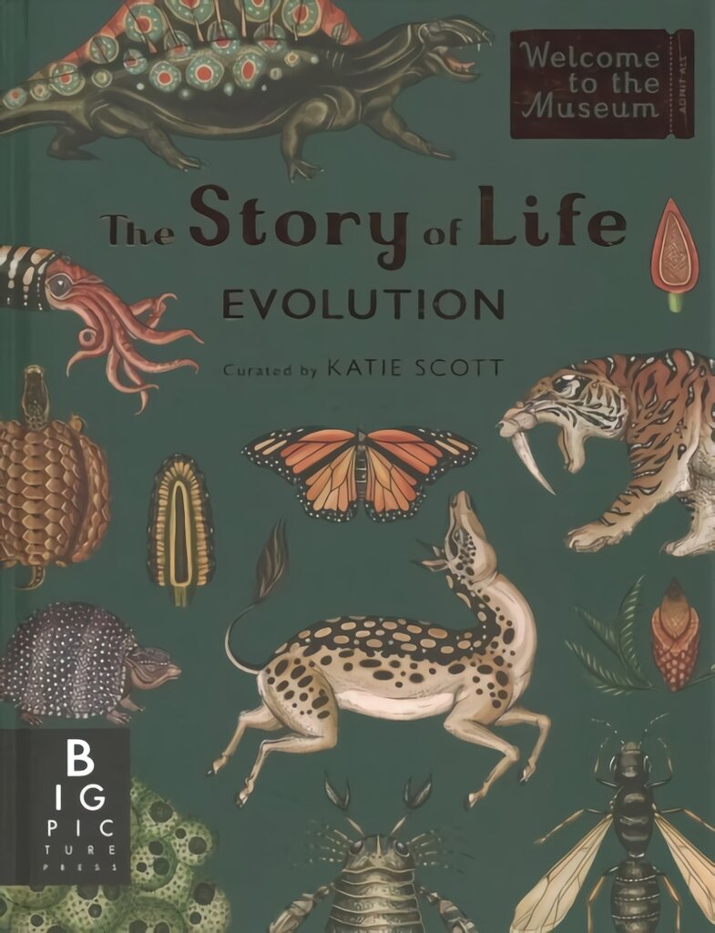Story of Life: Evolution Extended Edition Extended ed цена и информация | Ekonomikos knygos | pigu.lt