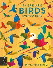 There are Birds Everywhere цена и информация | Книги для подростков и молодежи | pigu.lt