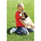 PetSafe antkaklis nuo lojimo su impulsu kaina ir informacija | Dresūros priemonės šunims | pigu.lt