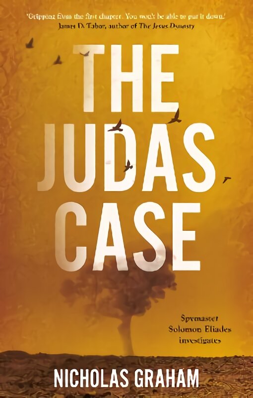 Judas Case kaina ir informacija | Fantastinės, mistinės knygos | pigu.lt