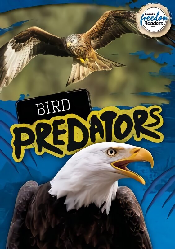 Bird Predators цена и информация | Knygos paaugliams ir jaunimui | pigu.lt