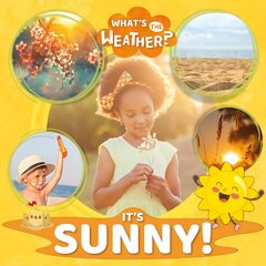 It's Sunny! цена и информация | Книги для подростков  | pigu.lt