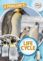 Penguin's Life Cycle kaina ir informacija | Knygos paaugliams ir jaunimui | pigu.lt