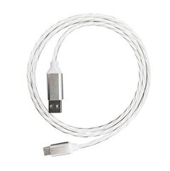 Platinet USB-C 2A kaina ir informacija | Laidai telefonams | pigu.lt