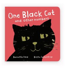 One Black Cat and other numbers цена и информация | Книги для самых маленьких | pigu.lt