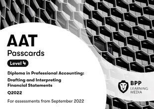 AAT Drafting and Interpreting Financial Statements: Passcards kaina ir informacija | Ekonomikos knygos | pigu.lt