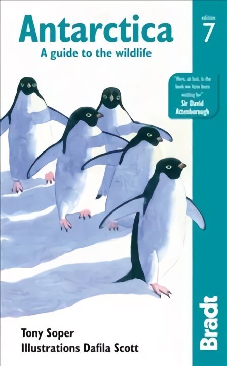 Antarctica: A Guide to the Wildlife 7th Revised edition kaina ir informacija | Kelionių vadovai, aprašymai | pigu.lt