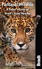 Pantanal Wildlife: A Visitor's Guide to Brazil's Great Wetland цена и информация | Путеводители, путешествия | pigu.lt