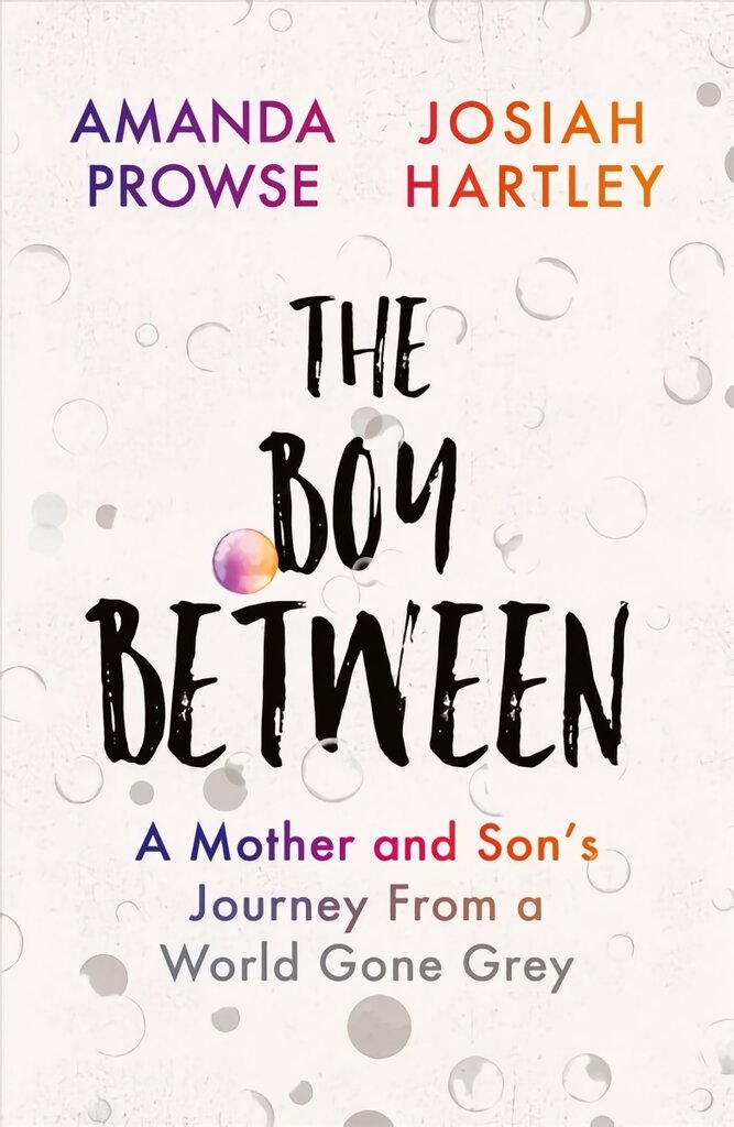 Boy Between: A Mother and Son's Journey From a World Gone Grey цена и информация | Biografijos, autobiografijos, memuarai | pigu.lt