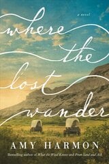 Where the Lost Wander: A Novel цена и информация | Фантастика, фэнтези | pigu.lt