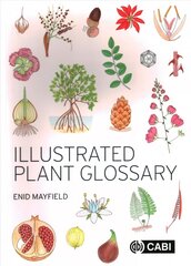 Illustrated Plant Glossary kaina ir informacija | Ekonomikos knygos | pigu.lt