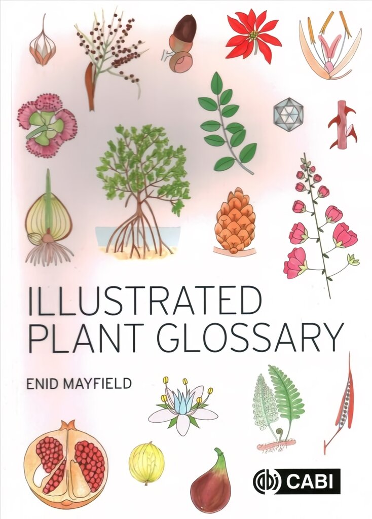Illustrated Plant Glossary kaina ir informacija | Ekonomikos knygos | pigu.lt