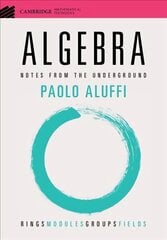 Algebra: Notes from the Underground цена и информация | Книги по экономике | pigu.lt