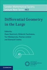 Differential Geometry in the Large kaina ir informacija | Ekonomikos knygos | pigu.lt