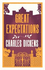 Great Expectations цена и информация | Романы | pigu.lt