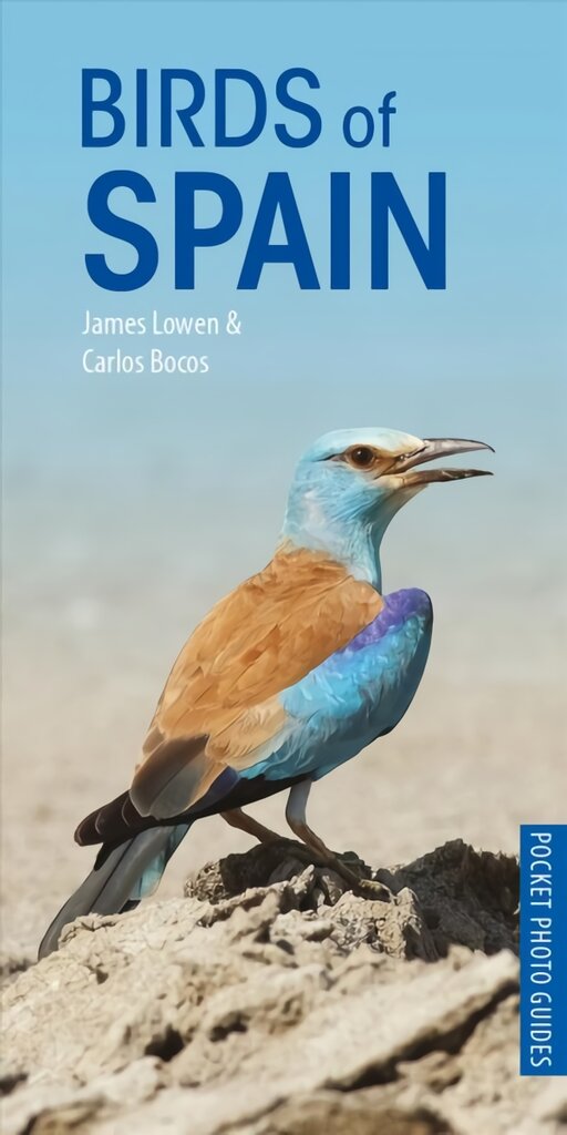 Birds of Spain цена и информация | Kelionių vadovai, aprašymai | pigu.lt