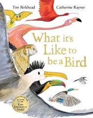 What it's Like to be a Bird kaina ir informacija | Knygos paaugliams ir jaunimui | pigu.lt